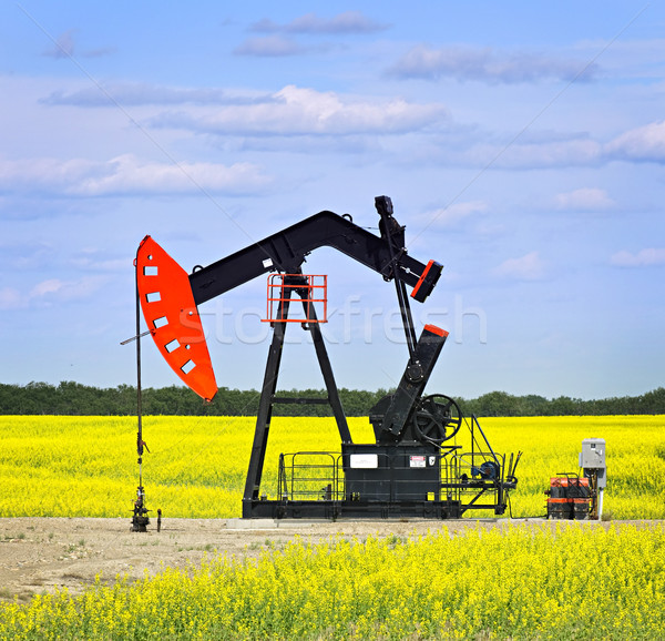 Stock photo: Nodding oil pump in prairies