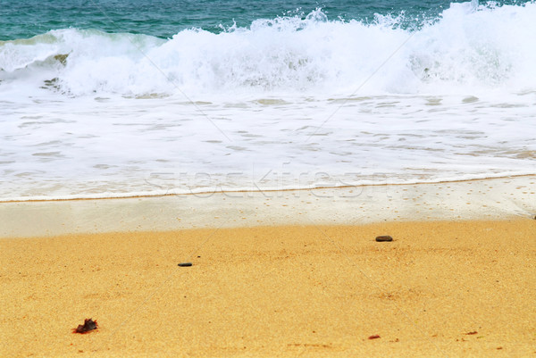 Sandy ocean beach Stock photo © elenaphoto