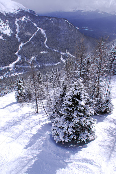 Winter mountains Stock photo © elenaphoto