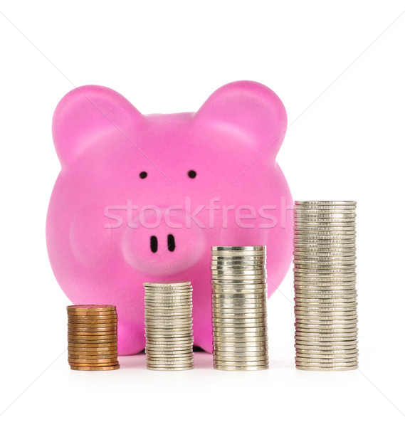 Sparschwein Münze Münzen rosa Wachstum Stock foto © elenaphoto