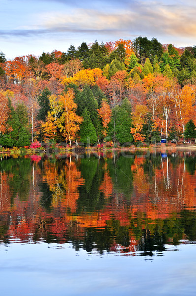 Сток-фото: осень · лес · Размышления · красочный · осень · деревья