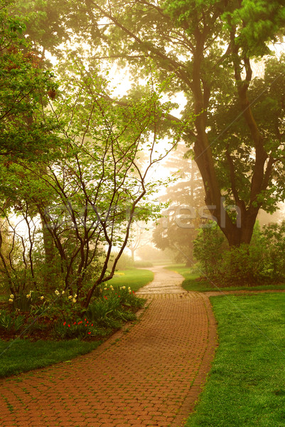 Stockfoto: Mistig · park · pad · groene · voorjaar · bos