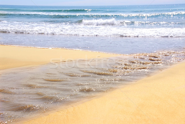 Stock photo: Ocean shore
