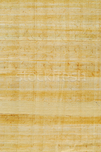 Papiro naturale design sfondo antichi antica Foto d'archivio © elenaphoto