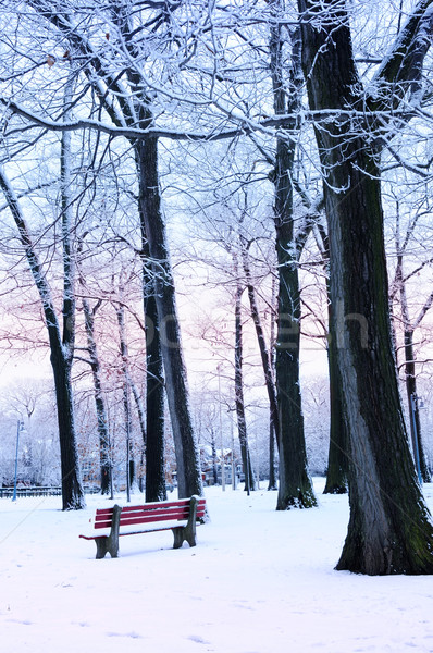 冬 公園 カバー 雪 夕暮れ ビーチ ストックフォト © elenaphoto
