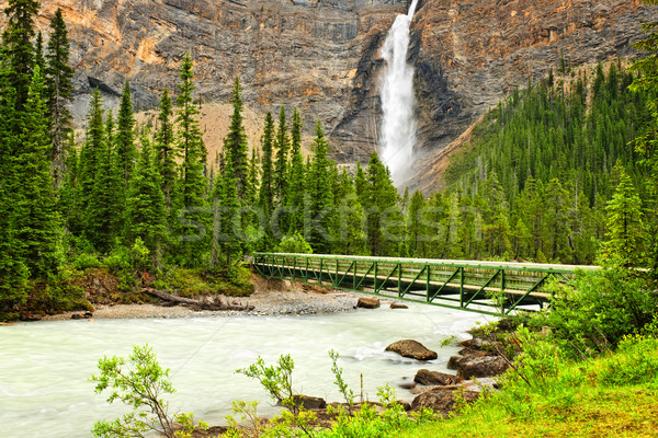 Takakkaw Falls waterfall in Yoho National Park, Canada Stock photo © elenaphoto