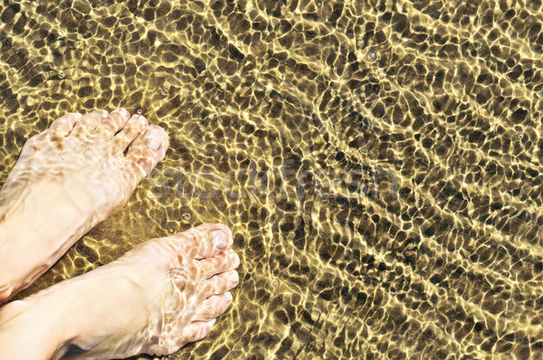 Piedi poco profondo acqua spiaggia di sabbia spiaggia Foto d'archivio © elenaphoto