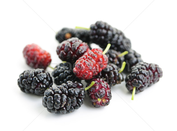 Fresh Mulberries Stock Photo Elena Elisseeva Elenaphoto Fresh Mulberries Stock Photo Elena