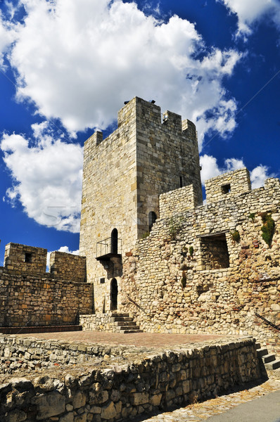 Kalemegdan fortress in Belgrade Stock photo © elenaphoto