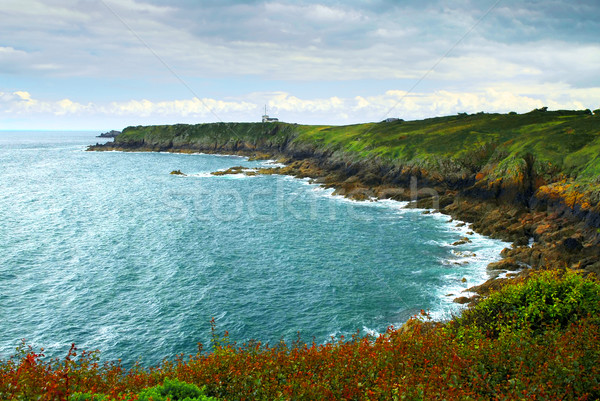 Atlantic coastline in Brittany, France Stock photo © elenaphoto