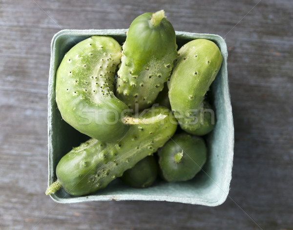 Freshly picked cucumbers Stock photo © elenaphoto