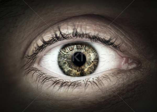 Mannelijke oog macro ooglid Stockfoto © elenaphoto
