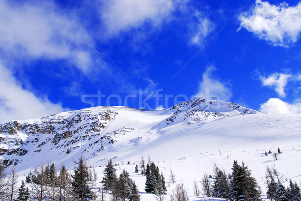 Hegyek hó fedett hegy fényes kék ég Stock fotó © elenaphoto