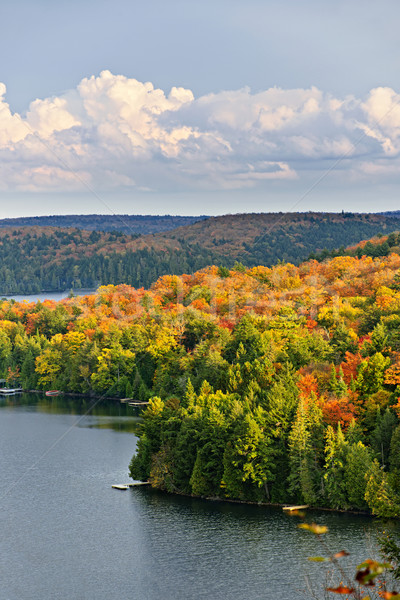 Zdjęcia stock: Spadek · lasu · jezioro · kolorowy · jesienią · drzew