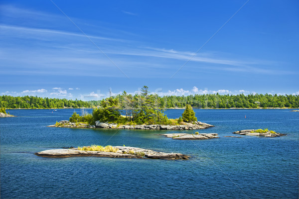 Islands in Georgian Bay Stock photo © elenaphoto