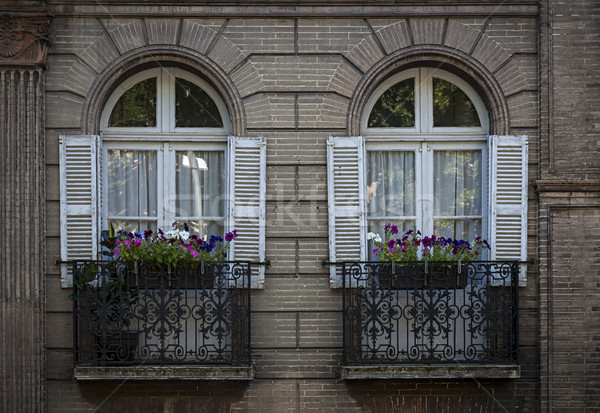 Windows in Toulouse Stock photo © elenaphoto