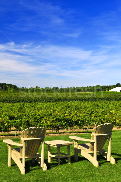 Chairs overlooking vineyard Stock photo © elenaphoto