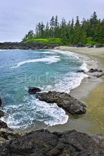 Coast of Pacific ocean in Canada Stock photo © elenaphoto