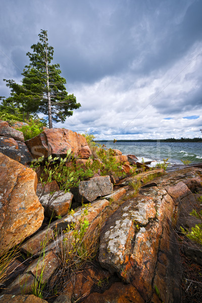 Rocky shore in Georgian Bay Stock photo © elenaphoto