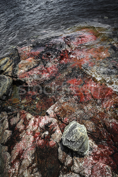 Felsen farbenreich robust See Ufer Stock foto © elenaphoto