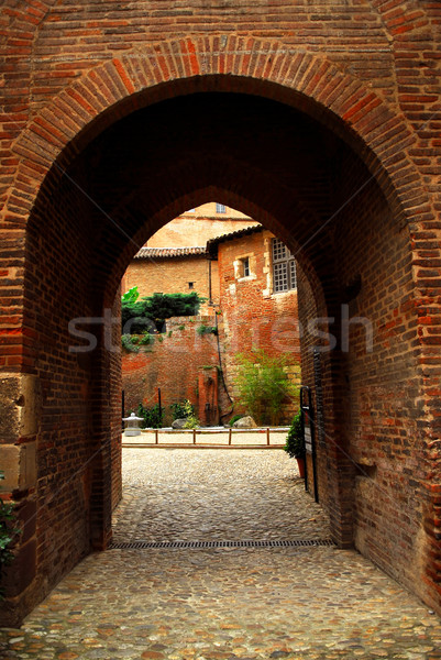 Courtyard of Cathedral of Ste-Cecile in Albi France Stock photo © elenaphoto