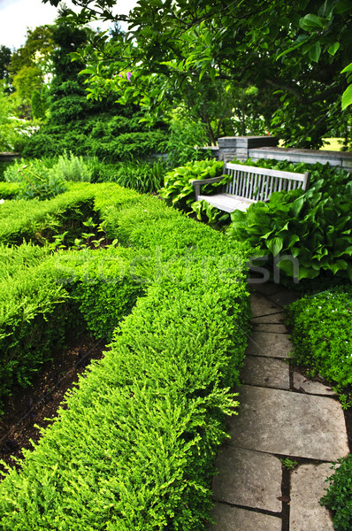 青蔥的 綠色 花園 石 美化 路徑 商業照片 © elenaphoto
