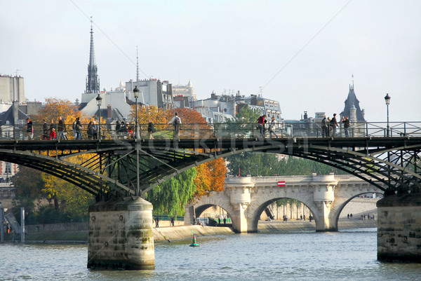 Paris Seine Stock photo © elenaphoto
