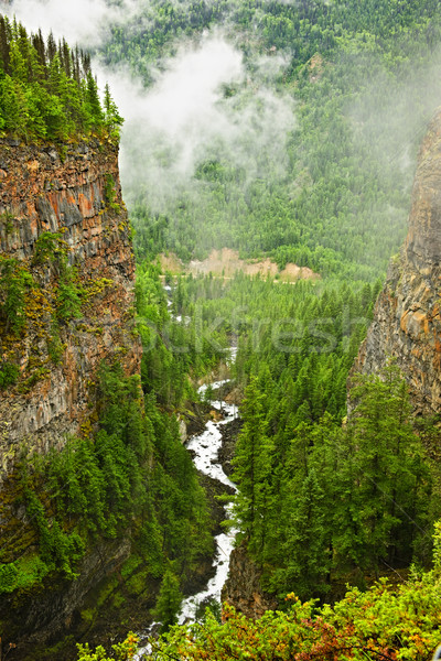 Canyon of Spahats Creek in Wells Gray Provincial Park, Canada Stock photo © elenaphoto