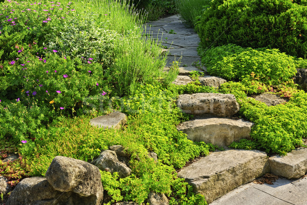 Garden path with stone landscaping Stock photo © elenaphoto