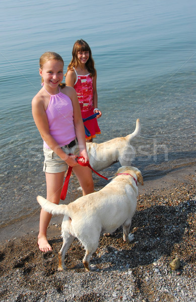 Two girls playing with dogs Stock photo © elenaphoto