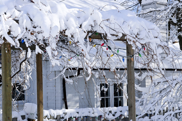 前庭 家 冬 カバー 雪 トロント ストックフォト © elenaphoto