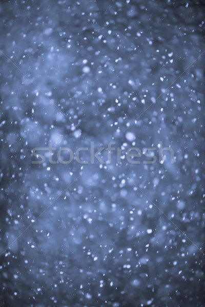 Chutes de neige nuit neige relevant bleu [[stock_photo]] © elenaphoto