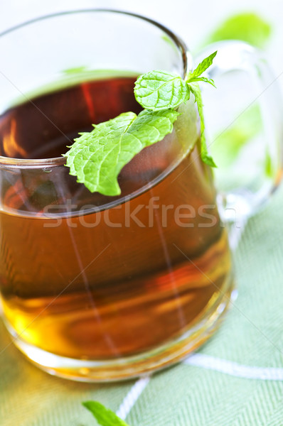 Menta teáscsésze friss szárított növénygyűjtemény tea borsmenta Stock fotó © elenaphoto