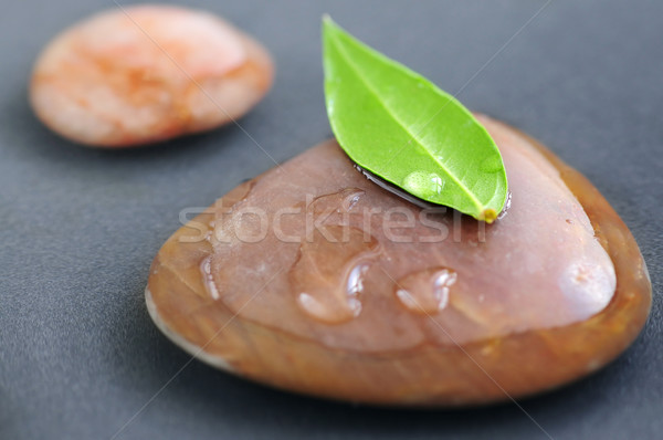 Zen stones Stock photo © elenaphoto