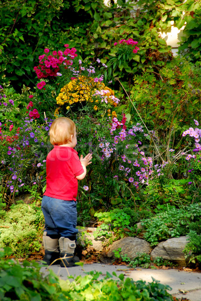 Tuin mooie bloementuin Stockfoto © elenaphoto