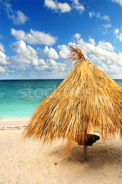 Tropisch strand caribbean eiland palm onderdak Stockfoto © elenaphoto