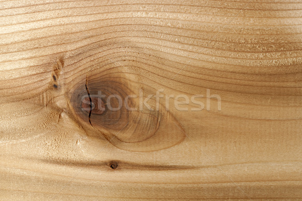 Wood closeup with knot Stock photo © elenaphoto