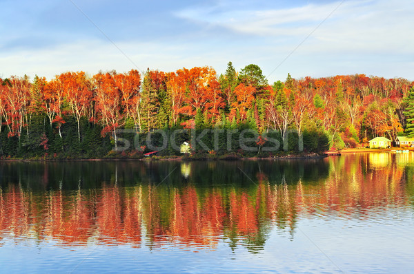 Automne forêt réflexions coloré automne arbres [[stock_photo]] © elenaphoto