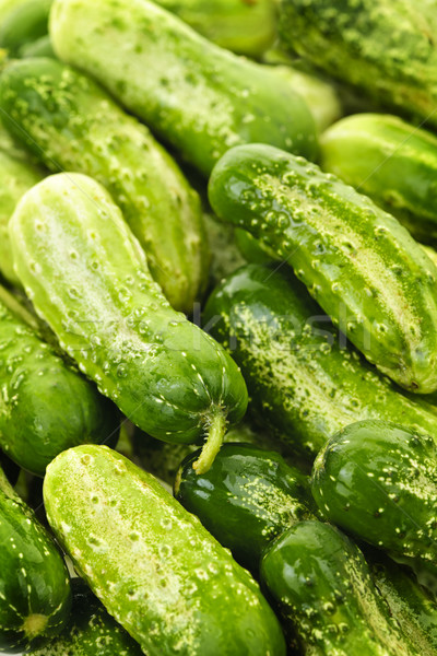 Cucumbers background Stock photo © elenaphoto