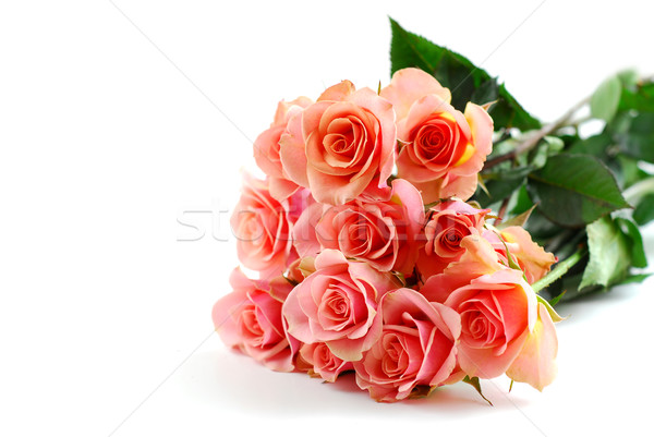 Rózsaszín rózsa virágcsokor fehér rózsaszín rózsák virágok Stock fotó © elenaphoto