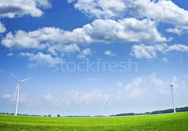Wind turbines in field Stock photo © elenaphoto