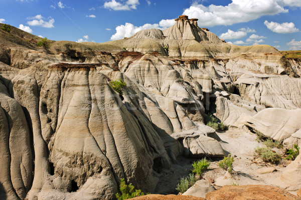 Badlands in Alberta, Canada Stock photo © elenaphoto