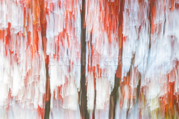 Rosso alberi lago shore abstract panorama Foto d'archivio © elenaphoto