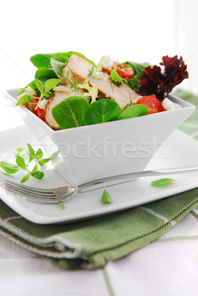 Insalata fresche verde pollo alla griglia erbe pomodori Foto d'archivio © elenaphoto