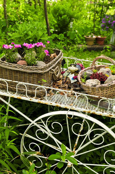 Flower cart in garden Stock photo © elenaphoto