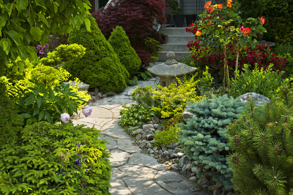 Stock photo: Garden path with stone landscaping