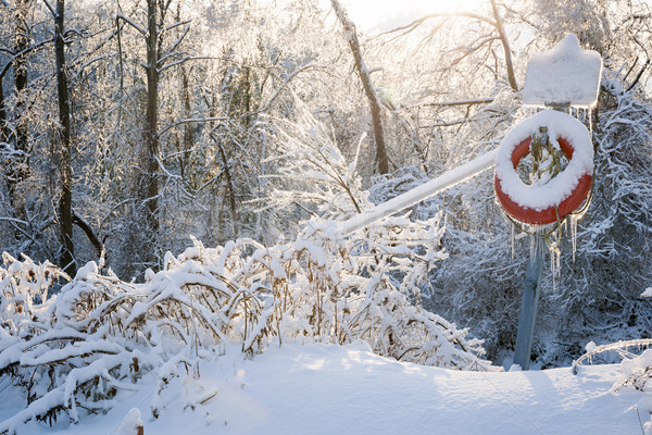 Lifesaver in winter snow Stock photo © elenaphoto