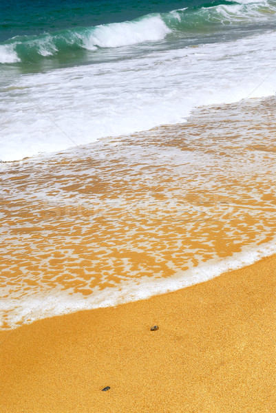 Sandy ocean beach Stock photo © elenaphoto