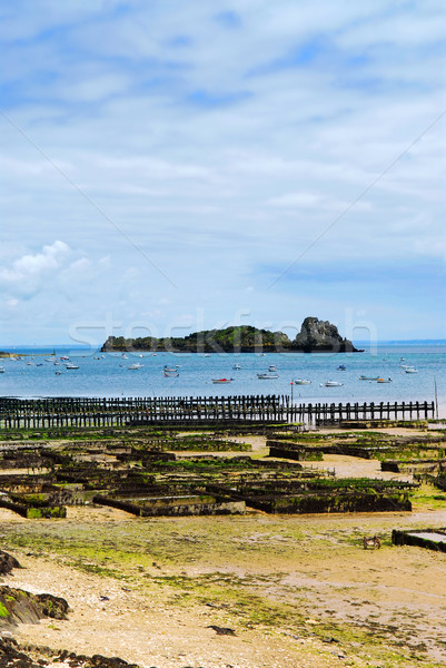 Oyster beds in Cancale, France Stock photo © elenaphoto
