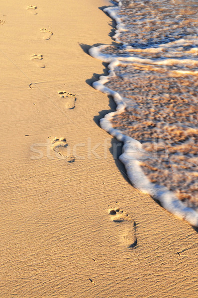 Tropical beach with footprints Stock photo © elenaphoto